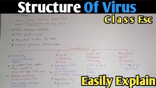 Structure Of Virus  Capsid  Capsomere  Class 11 Biology [upl. by Jorin832]