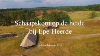 schaapskooi Epe Heerde [upl. by Palladin]