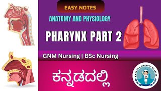 Anatomy And Physiology Of Pharynx Part 2  Respiratory System  Kannada Nursing Classes [upl. by Bettzel]