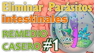 ELIMINAR PARÁSITOS INTESTINALES REMEDIO CASERO N° 1 [upl. by Peltz]