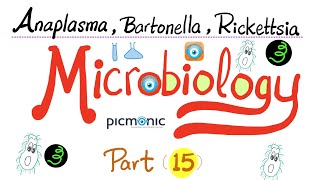 Picmonic Microbiology  Anaplasma Bartonella Coxiella Ehrlichia Rickettsia  Part 15 [upl. by Artaed]