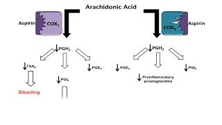 Asprin NSAID  Mechanism of Action antiinflammatory action [upl. by Nnylanna]