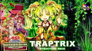 Traptrix Structure Deck Forest Of The Traptrix Yugioh 2022【EDOPRO】 [upl. by Yelnoc246]