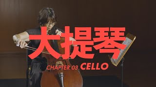 大提琴介紹 Cello [upl. by Tjaden]