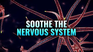 Soothe the Nervous System  Heal Your Vagus Nerve Nerve Healing Binaural Beats  Nerve Regeneration [upl. by Amliw]