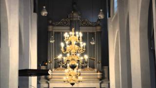 Neerland en Oranje orgel en piano Sint Maartenskerk Tiel [upl. by Danita]