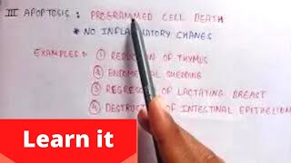 Autolysis Necrosis Apoptosis  Morphology of irreversible cell injury  pathophysiology [upl. by Aikemet706]