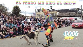 Un PERRO puso en problemas a KARCOCHA en Colombia [upl. by Maggie]