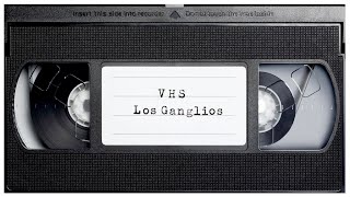 ✝ VHS ✝ Los Ganglios [upl. by Roper992]