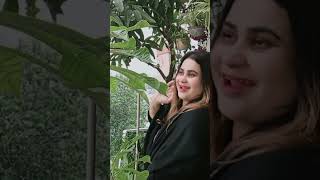 Hindi Song Tiktok  Jebas Daily Vlog [upl. by Anabella]