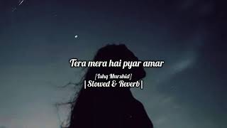 Tera Mera Hai Pyar Amar Slowed Reverb Lofi Ali  lofialisongs teramerapyaramar viral [upl. by Esilrac]