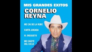 Cornelio Reyna  El Disgusto [upl. by Treva]