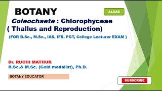 Coleochaete Thallus and Reproduction BSc I year MSc Botany [upl. by Enilrek]