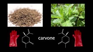 Introduction to chirality  Stereochemistry  Organic chemistry  Khan Academy [upl. by Swarts]