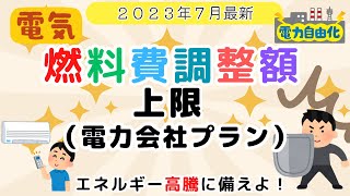 燃料費調整額に上限のある電力会社 コスモでんき （電気料金 値上げ、燃料費 高騰、電気料金の節約） [upl. by Dilisio663]