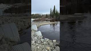 Moose creek flooding Glennallen Ak [upl. by Ardel]