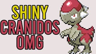 SHINY CRANIDOS REACTION  PokeMMO pokemmo [upl. by Bronez]