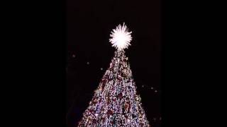 Silver Dollar City Christmas Tree lighting [upl. by Ibby]