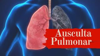 Ausculta Pulmonar  roncos sibilos estertores  ruídos adventícios [upl. by Stutzman]