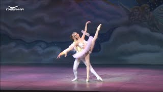 アダージョ「くるみ割り人形」パ・ド・ドゥ、ペルヴーシナ、ムルィギンサマラ・バレエ団 2011 Adagio quotNutcrackerquot PDD E Pervushina V Mulygin [upl. by Gut]