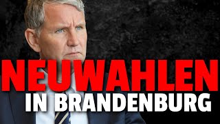 💥AfD ZU STARK Vor DER WAHL werden NEUWAHLEN ANGEKÜNDIGT [upl. by Layne]