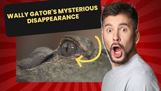 Wally Gators Neighbor Breaks Silence What They Saw Will Leave You Speechless [upl. by Anitnerolf]