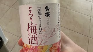 Japanese wine taste test [upl. by Buhler]