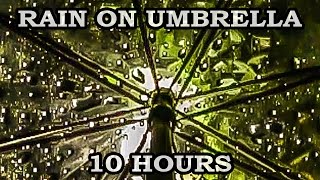 Relaxing Rain Sound Under Umbrella  10 Hours Video [upl. by Eciryt]