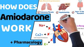 How does Amiodarone Work  Pharmacology [upl. by Nwahsear]