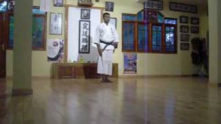 Passai Dai Matsumura No Passai  Okinawa Shorin Ryu KYUDOKAN Karatedo [upl. by Nodlew54]