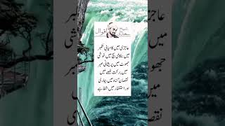 Sheikh Saadi ll Quotes about life ll Motivation ll Aqwal ll Poetry quotes sheikhsaadi viralvideo [upl. by Qirat721]