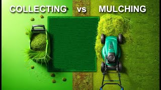 How Mulching Mowers Work Compared to Collecting Lawnmowers Unique Explained in detail [upl. by Yelrak]