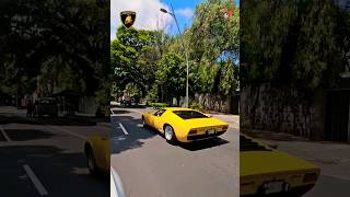 Lamborghini Miura 19661971 Raros de ver‼️ 🦄💨 [upl. by Bocaj]