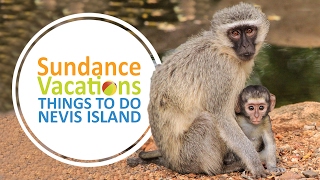 Sundance Vacations Things to Do in Nevis Island Caribbean [upl. by Heck]