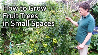 How to Grow Fruit Trees in Small Spaces [upl. by Hallsy465]