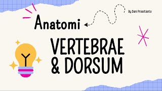 Anatomi Vertebrae amp Dorsum [upl. by Pavyer]