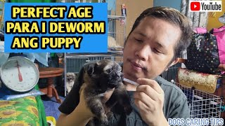 HOW TO DEWORM YOUR PUPPIES AT HOME1ST DEWORMING NILA [upl. by Ardnuasal]