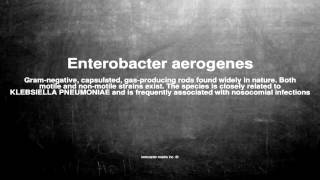 Medical vocabulary What does Enterobacter aerogenes mean [upl. by Sewel]