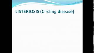 ListeriosisCircling disease ppt [upl. by Nitneuq]