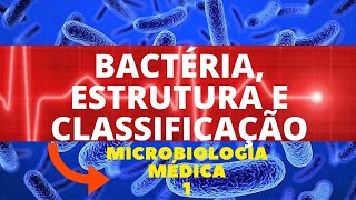 BACTÉRIA ESTRUTURA E CLASSIFICAÇÃO  MICROBIOLOGIA MÉDICA 1 [upl. by Assirac]