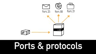 Ports amp Protocols Explained in 4 minutes [upl. by Kelly728]