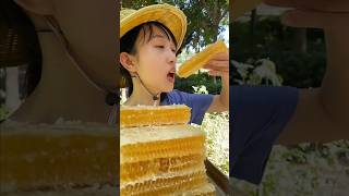 Eating raw honeycomb 🍯😋 satisfying shorts trending HunniBeeASMR VladandNiki farmya [upl. by Riebling606]