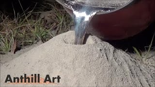 Casting a Fire Ant Colony with Molten Aluminum Cast 043 [upl. by Oisinoid59]