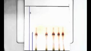 10 Thin layer chromatography  TLC [upl. by Celin483]