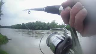 snagging a spoonbill at Miami Oklahoma may 22 2021 [upl. by Rempe339]