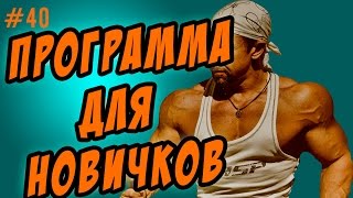 программа тренировок для начинающих [upl. by Rede]