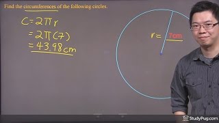 ʕ•ᴥ•ʔ Find circle circumference with radius [upl. by Yemaj]