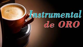 Musica Instrumental de Oro Para Escuchar  30 Grandes Exitos Instrumentales [upl. by Concha]