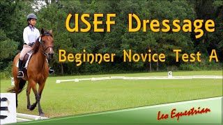 USEF Dressage  Beginner Novice Test A  Leo Equestrian [upl. by Carine154]