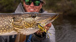 Topwater SPIDER Pike [upl. by Ymereg852]